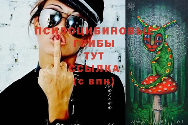 индика Киренск