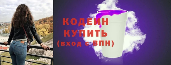 индика Киренск