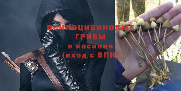 индика Киренск