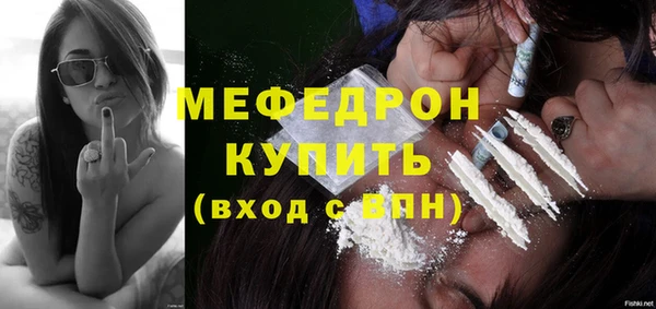 индика Киренск
