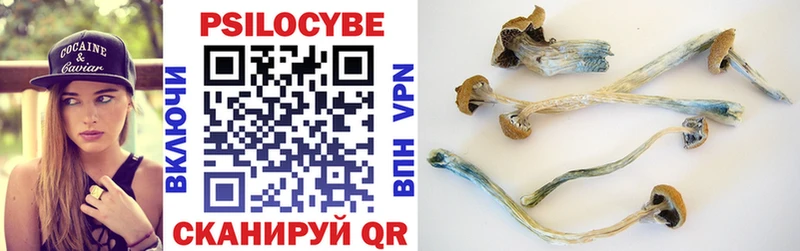 Купить закладки  Бородино  Галлюциногенные грибы Magic Shrooms 